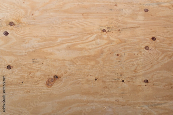 Obraz pine wood background texture