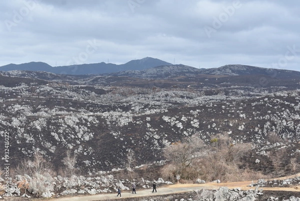 Obraz 秋吉台カルスト