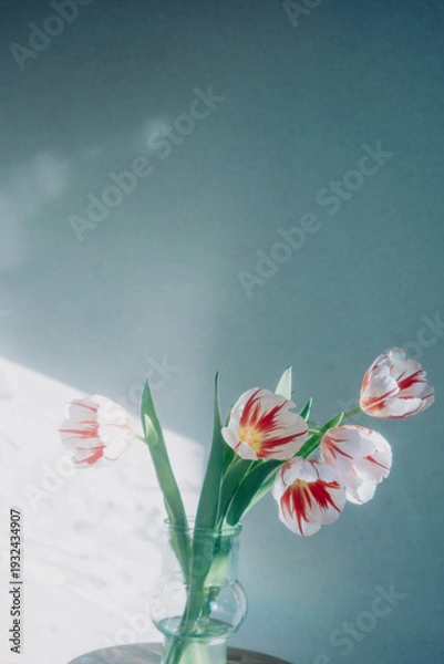 Obraz 花瓶のチューリップ　ハッピーゼネレーション