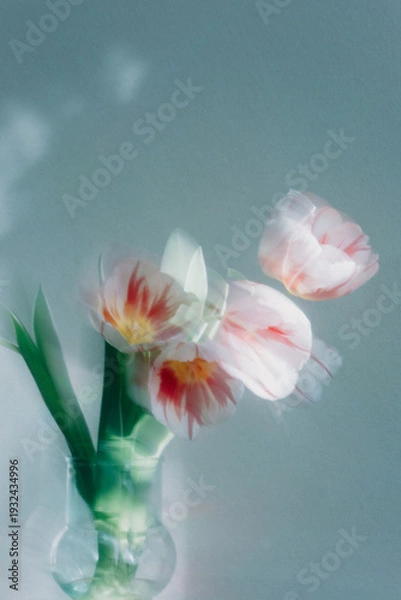 Obraz 花瓶のチューリップ　ハッピーゼネレーション