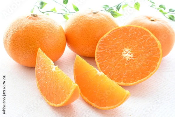 Obraz 高級柑橘せとかの果肉クローズアップ