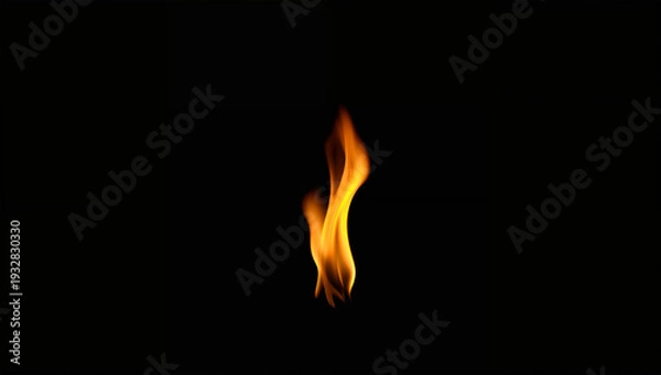 Fototapeta 静かに立ち上る炎が象徴的に映える黒背景の火のイメージ