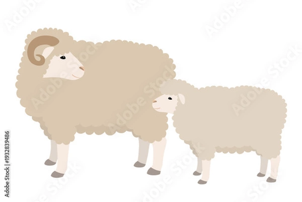 Obraz 羊の親子のベクターイラスト