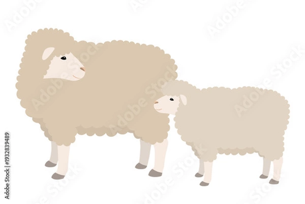 Obraz 羊の親子のベクターイラスト