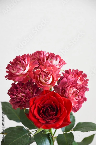 Fototapeta 赤い薔薇