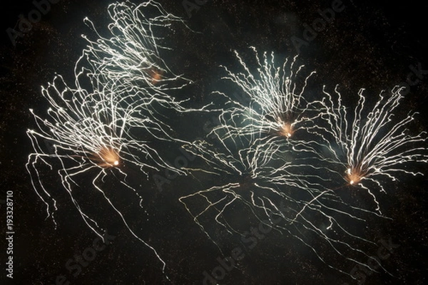 Fototapeta Spider Fireworks 