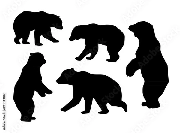 Obraz Bear silhouettes on white background