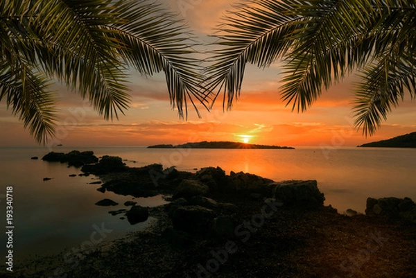 Fototapeta A sunrise in Ibiza with a frame of palm leaves
