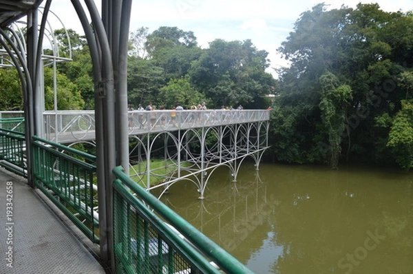 Obraz Ópera de Arame