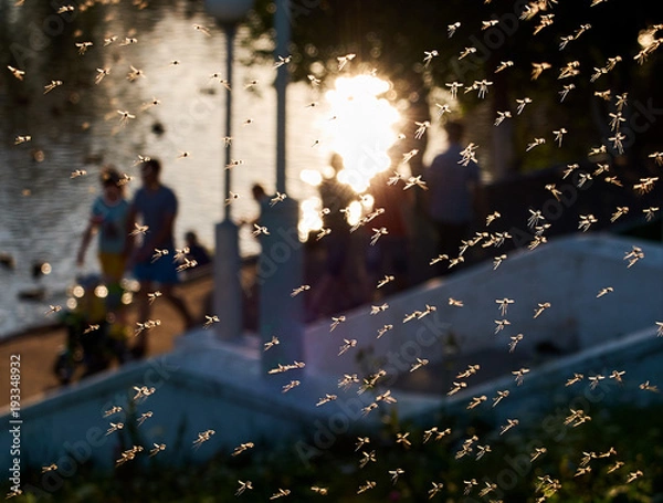 Fototapeta Mosquito horde attack on the families local park