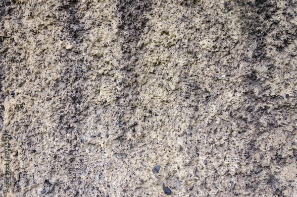 Fototapeta texture of gray decorative plaster on the whole frame