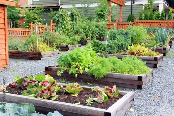 Obraz Ogród owocowo-warzywny