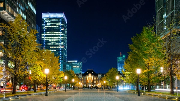 Obraz 東京駅　行幸通り