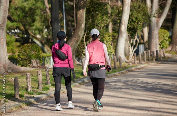 Obraz 春の名城公園でジョギングする若い女性たちの姿