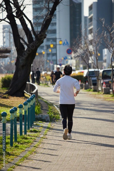 Obraz 春の名城公園でランニングする若い男性の姿
