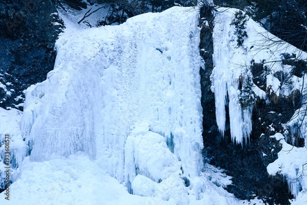 Obraz 長野県　善五郎の滝　雪