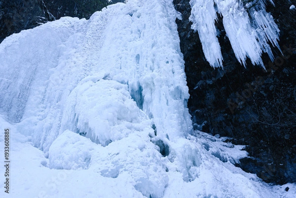 Obraz 長野県　善五郎の滝　雪