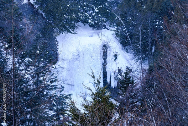 Obraz 長野県　善五郎の滝　雪