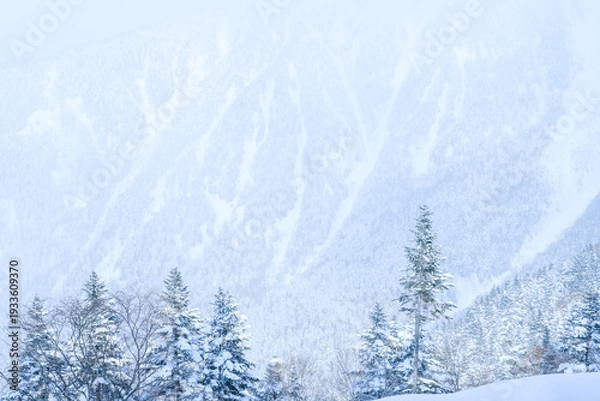 Obraz 岐阜県　雪山