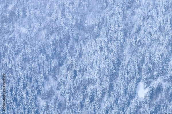 Obraz 岐阜県　雪山