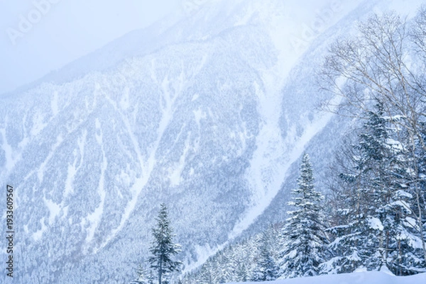 Obraz 岐阜県　雪山