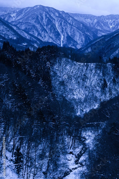 Fototapeta 岐阜県　雪山