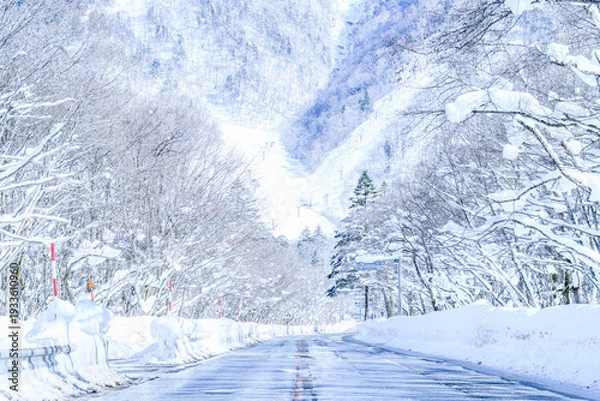 Obraz 岐阜県　雪山