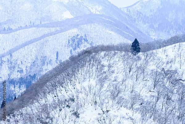Fototapeta 三重県　雪山