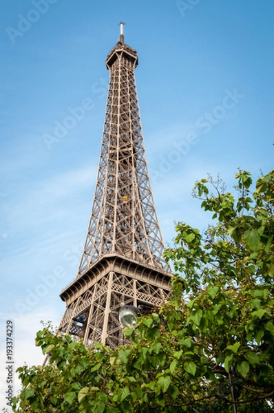 Fototapeta Eiffel tower above the trees