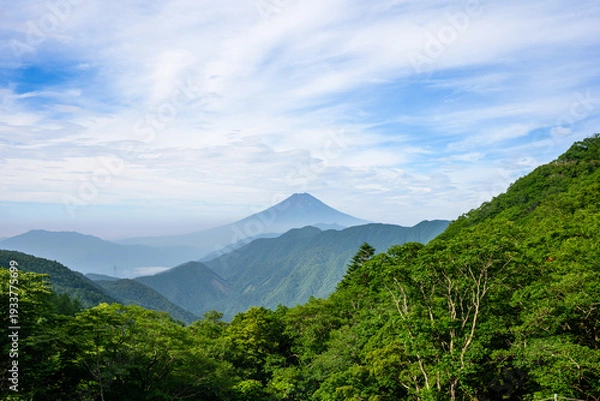 Obraz 大峠から見る夏の富士山