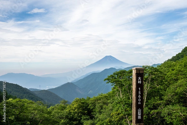 Obraz 大峠から見る夏の富士山