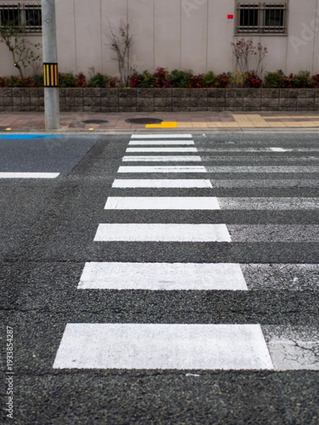 Obraz 廃止された横断歩道の自転車横断帯