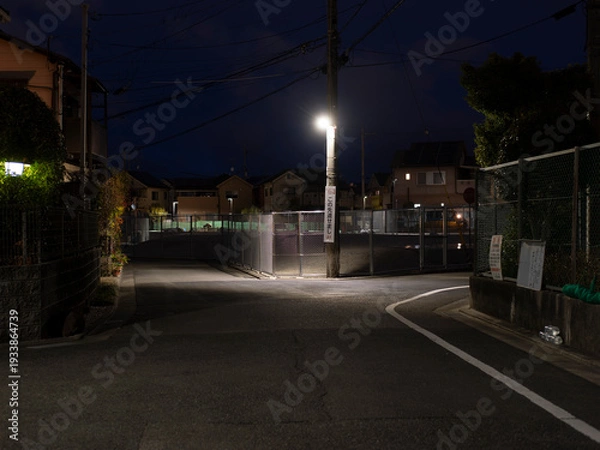 Obraz 街灯に照らされた住宅街の路地