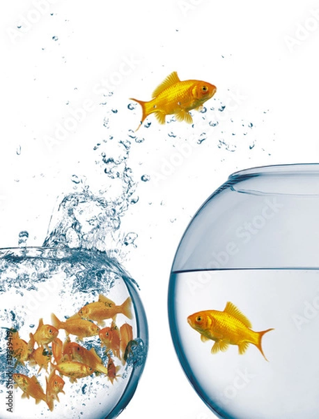 Obraz Goldfischglaß