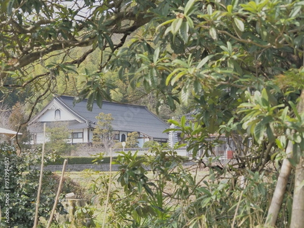 Obraz 日本のお寺の風景