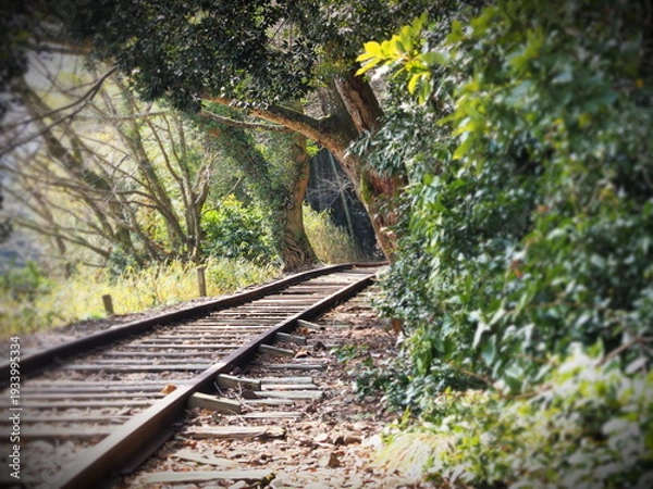 Obraz 廃線跡の風景