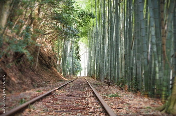 Obraz 竹林の中の廃線跡