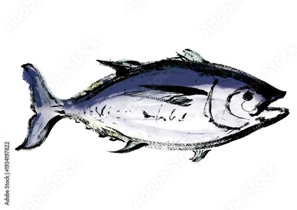 Obraz マグロの和風筆書きイラスト　右向き
