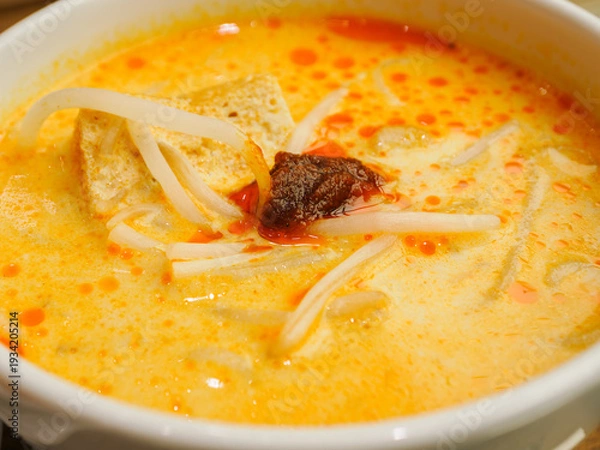 Obraz シンガポールのラクサ　ココナッツスープ麺