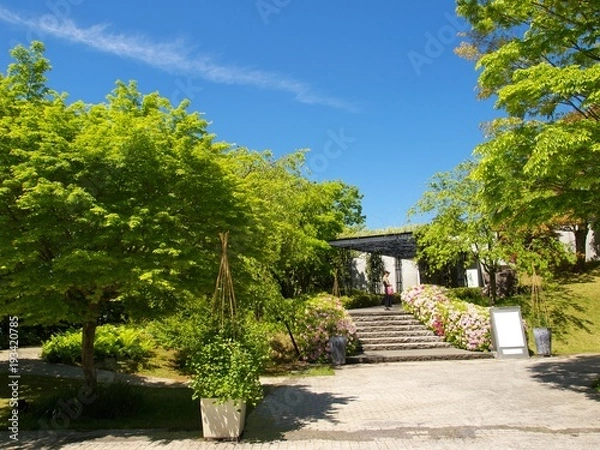 Fototapeta 青空の下のツツジに囲まれた石段