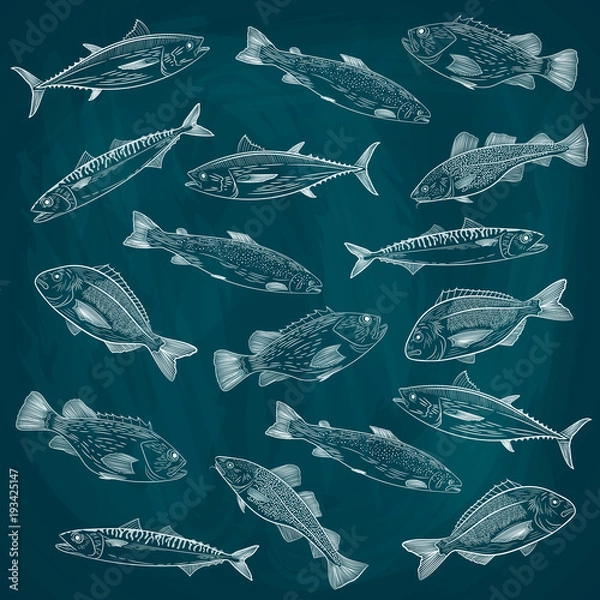 Fototapeta Set of painted sea fish. Salmon, tuna, cod, lobster, crab. A sketch of a white design on a blue background. Vector illustration