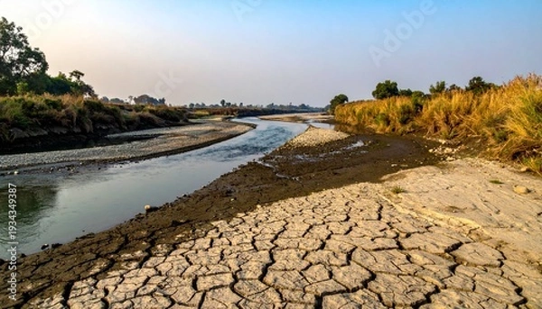 Obraz 水位が低くなっている川の写真