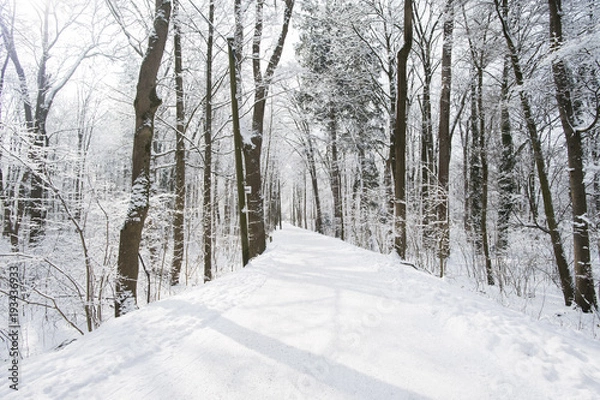 Fototapeta Winterausflug