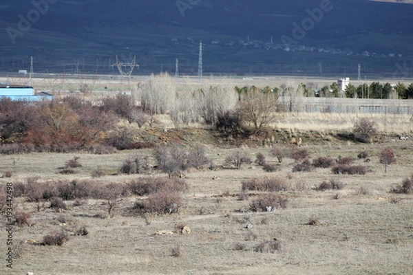 Obraz landscape, natural, sky