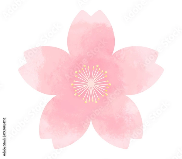 Fototapeta シンプルでかわいい桜の花　水彩風装飾イラスト　春の花