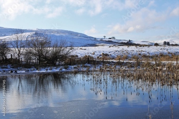 Obraz Bogton Loch - Dalmellington
