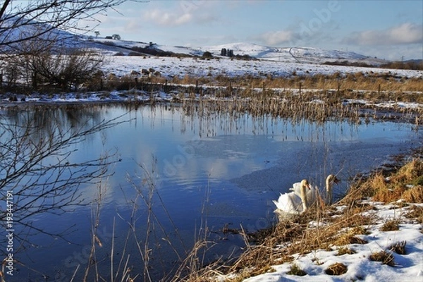 Obraz Bogton loch - Dalmellington