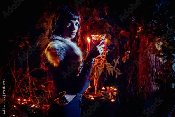 Obraz Beautiful witch with the glass of vine on the night forest background.