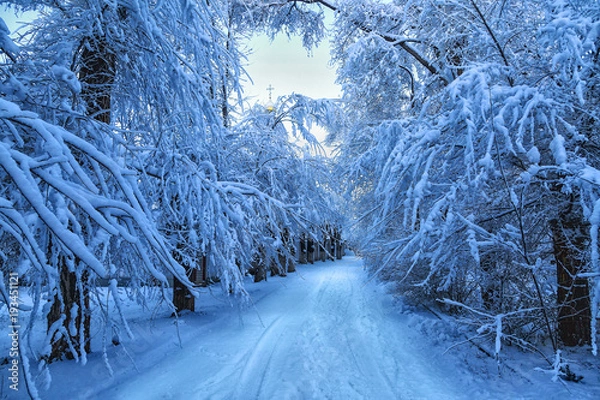 Obraz winter panorama on the road through coniferous forest