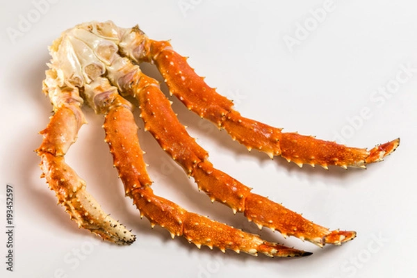 Obraz claw of a king crab on a white background